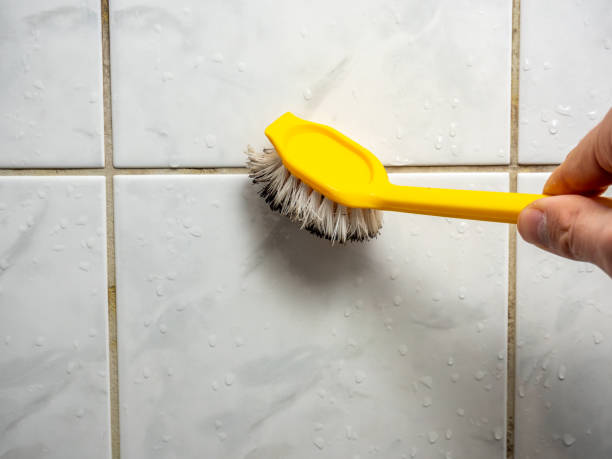 Best White Mold Remediation in Annapolis Neck, MD