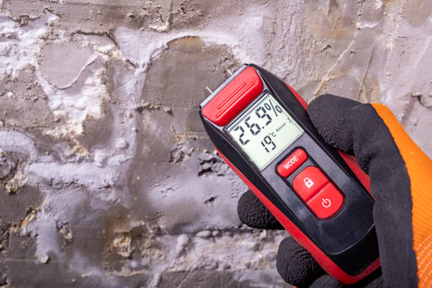Best Emergency Mold Remediation in Annapolis Neck, MD
