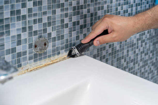Best Commercial Mold Remediation in Annapolis Neck, MD